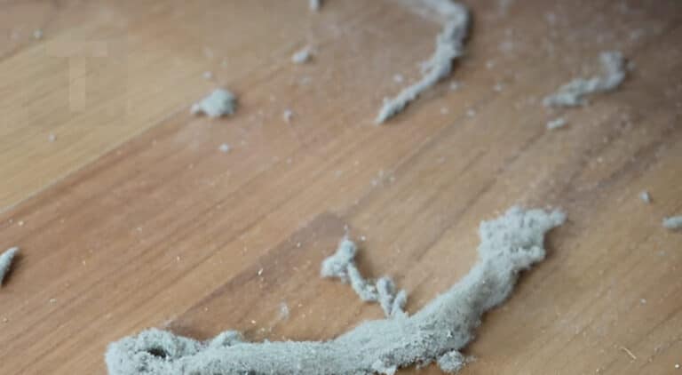 Η γιαγιά μου μού έμαθε αυτό το κóλπο για να απομακρύνω όλες τις τρίχες και τη σκόνη από το σπίτι μέσα σε μόλις  2 λεπτά χωρίς προσπάθεια