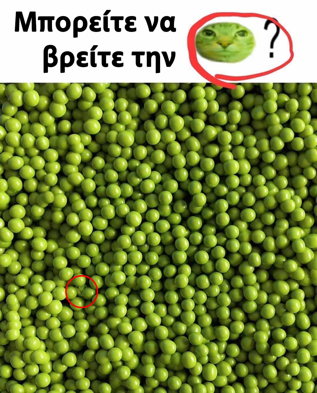 22 6