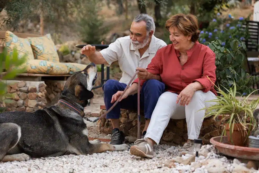 8 healthy habits aging adults sh