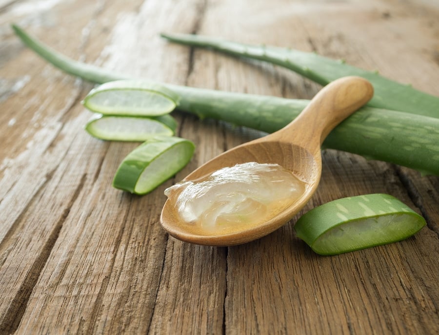 aloe vera gel 109490534