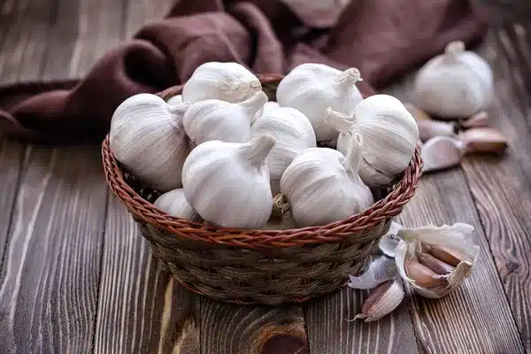depositphotos 26833587 stock photo garlic