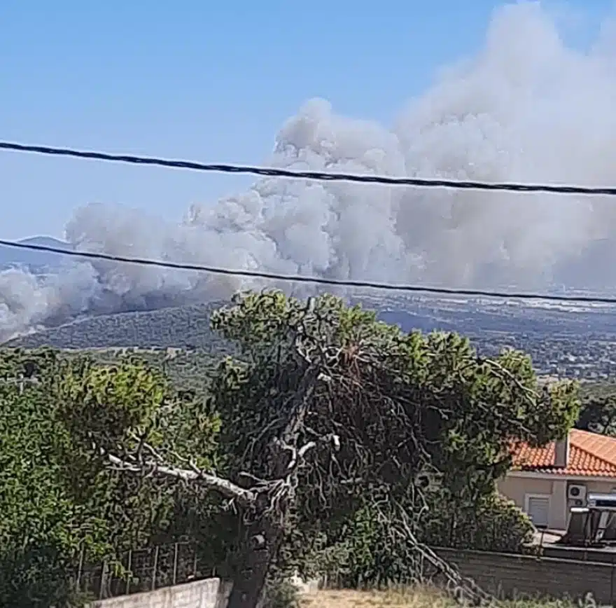 fotia rafina4