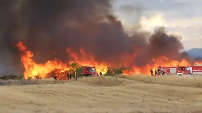 Φωτιά στις Σέρρες σε εργοστάσιο ξυλείας στο Νέο Σούλι – Ανεξέλεγκτες οι φλόγες, ήχησε το 112