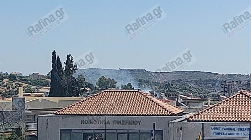 fotia imero peuko pikermi