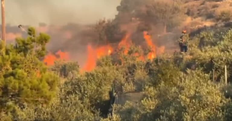 Φωτιά τώρα σε Ραφήνα και Σπάτα – Επιχειρούν 32 πυροσβέστες και εναέρια μέσα