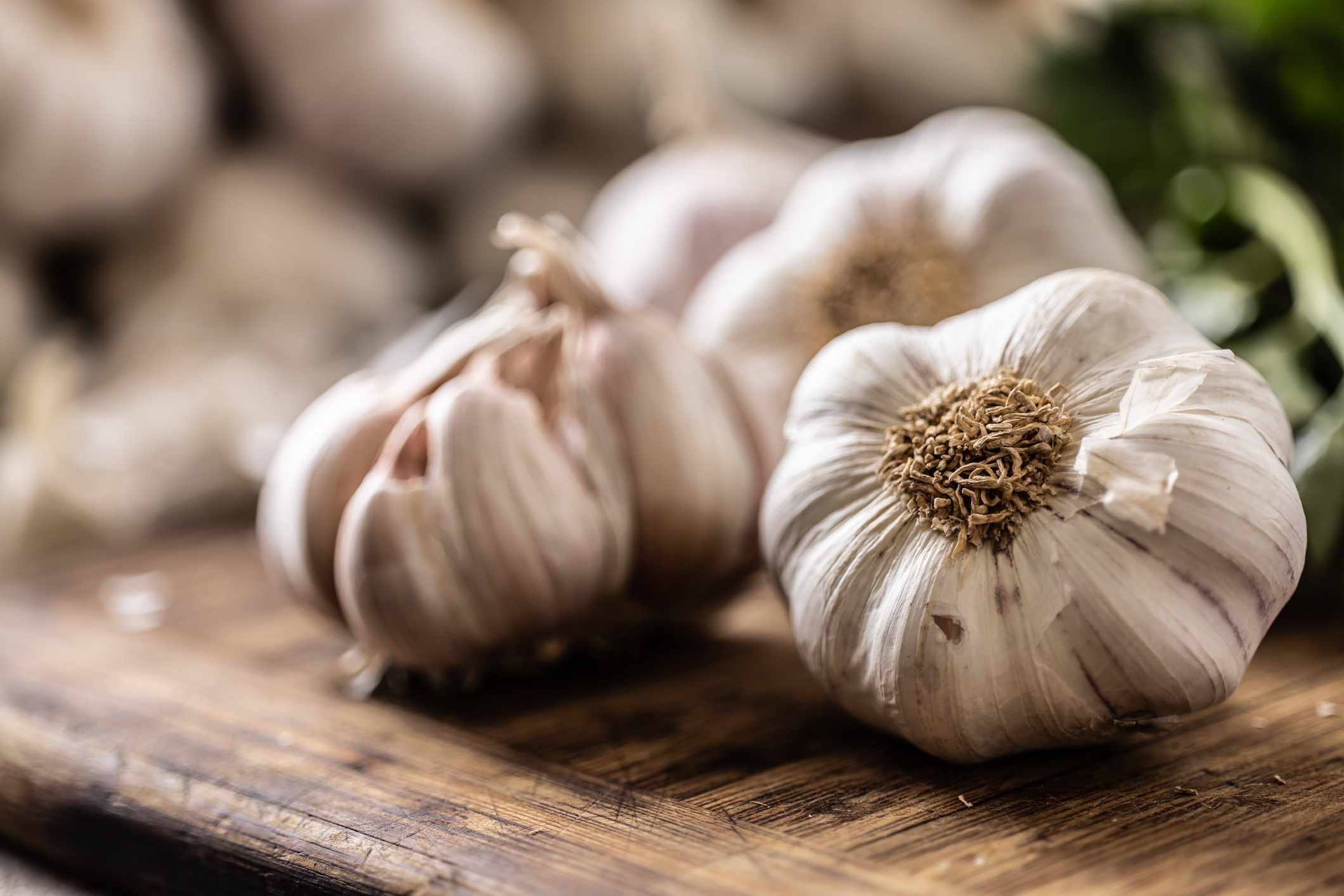 garlic 547276b9a356409eacef7284682b594a