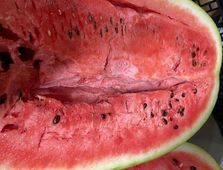 hollow heart watermelons 883x675 1