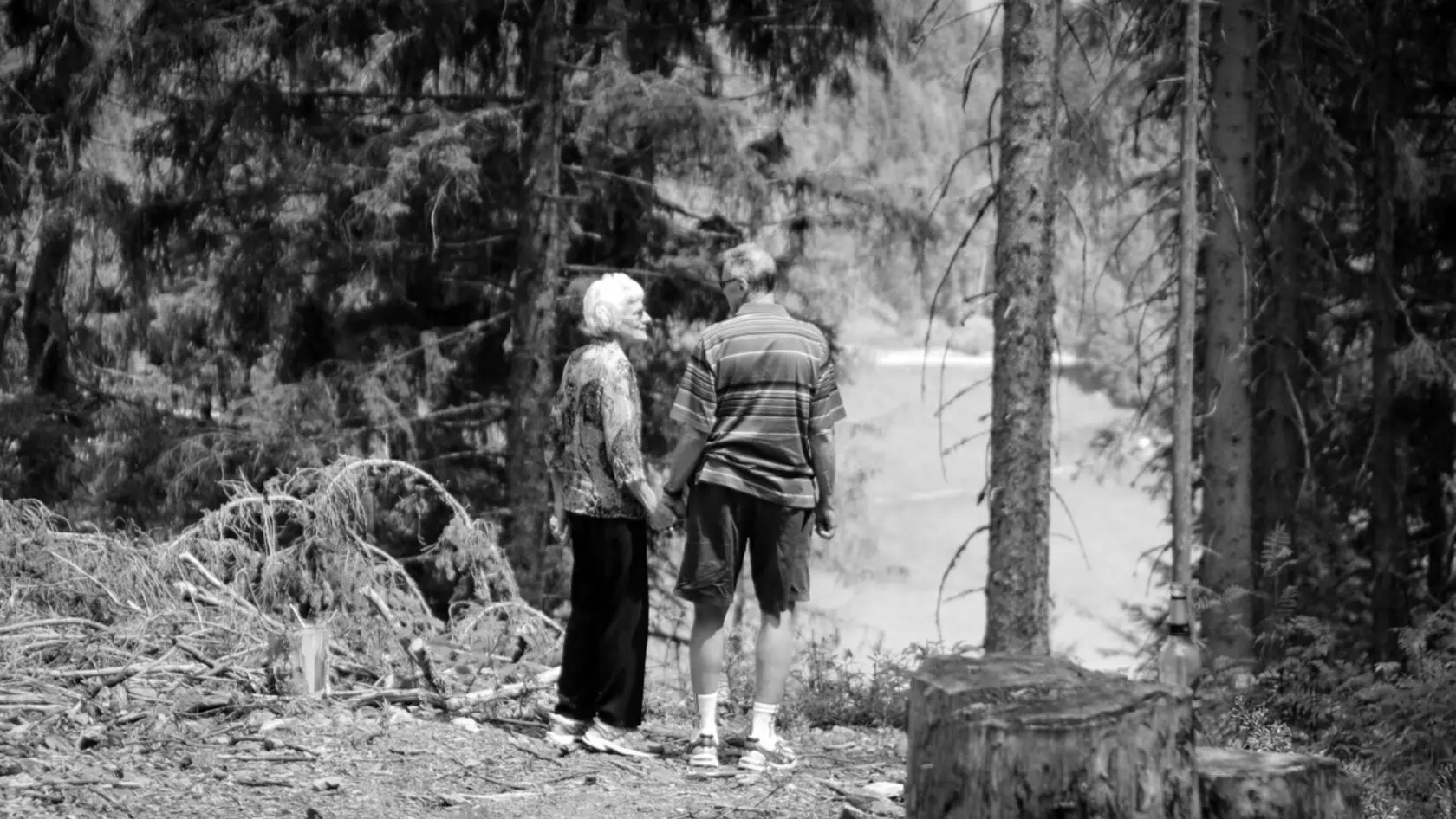 pexels magda ehlers pexels 1307391 megali