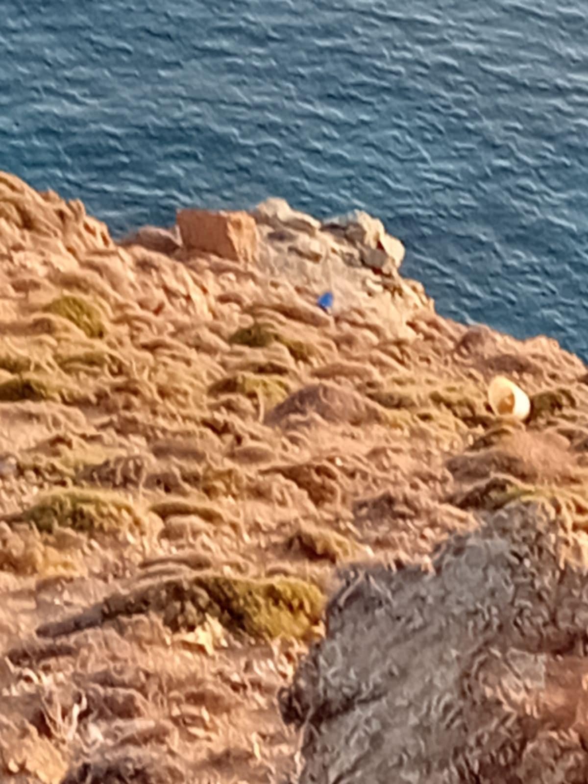 serifos bebilogis probata 4