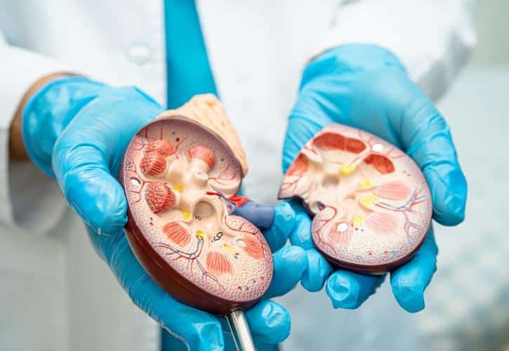 shutterstock nefriki aneparkeia
