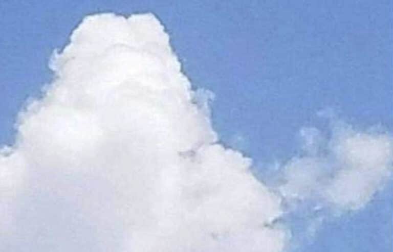 Τι βλέπετε: Ένα ψάρι ή ένα αεροπλάνο; Η απάντησή σας αποκαλύπτει τον τρόπο σκέψης σας