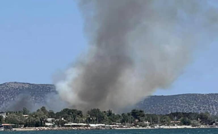 Φωτιά στον Μαραθώνα στην περιοχή Παραλία: Μήνυμα του 112 για εκκένωση