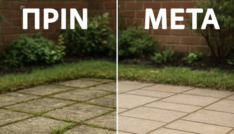 10 ιδιοφυή κόλπα για να αναβιώσετε την αυλή του κήπου σας.