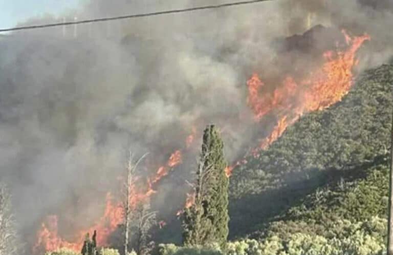 Μεγάλη φωτιά στην Εύβοια – Οι φλόγες φτάνουν στα πρώτα σπίτια