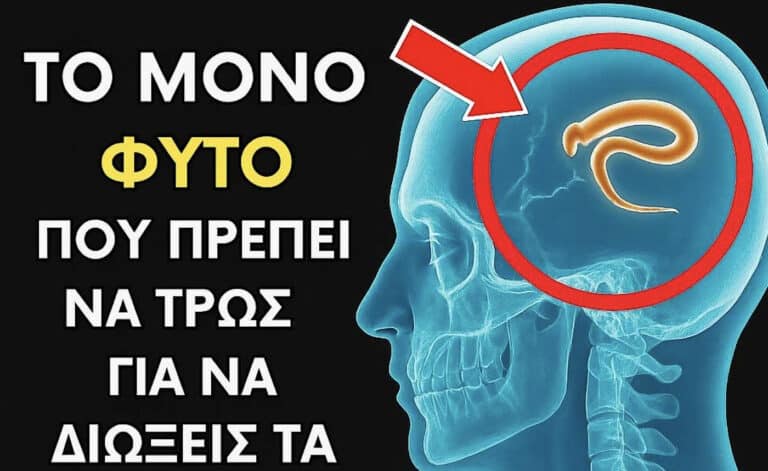 Μόνο 2 κουταλιές… Βοηθάει την αποβολή από τα σκουλήκια και τα παράσιτα από το σώμα σας
