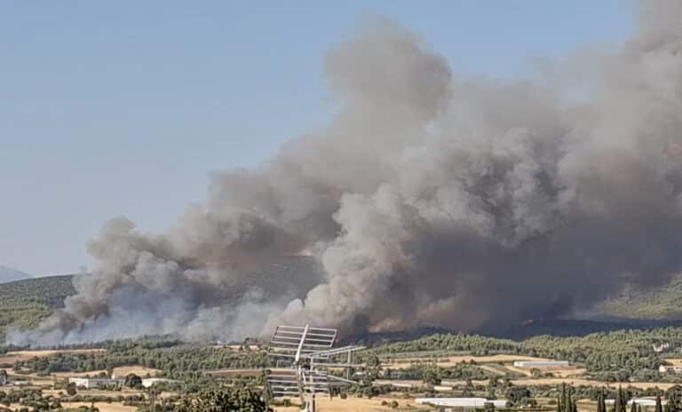 Μεγάλη φωτιά στον Ωρωπό – Ηχησε το 112 για εκκένωση