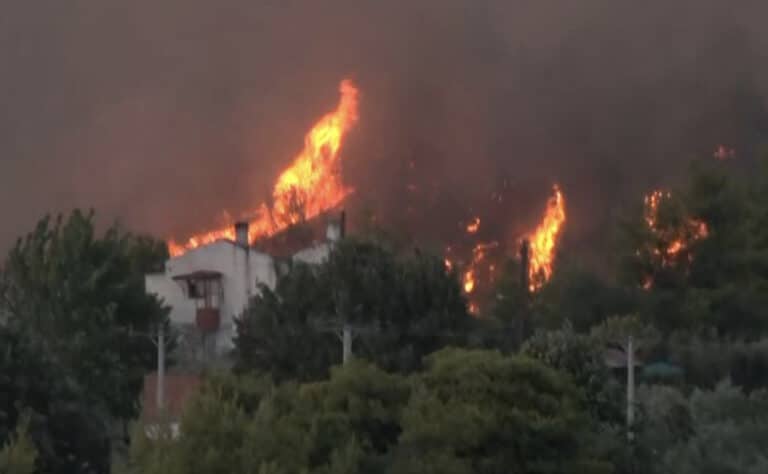 Μια ανάσα από σπίτια η φωτιά στον Ωρωπό – Εξαπλώνεται το πύρινο μέτωπο, εκκενώθηκε το Ασπροχώρι