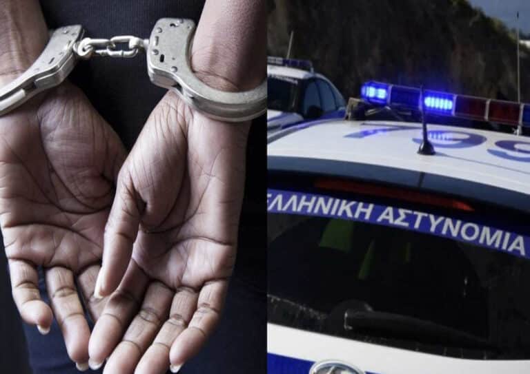 Συνελήφθη 62χρονη που είχε 66 σκυλιά στο σπίτι της