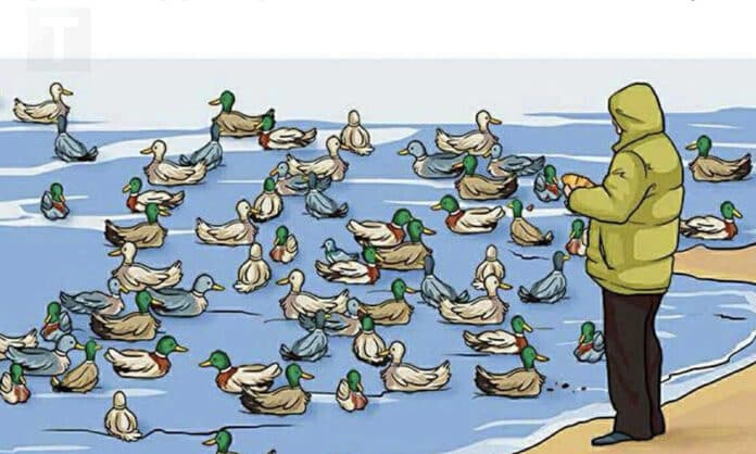 Στιγμιότυπο οθόνης 2025-07-20, 22.19.47