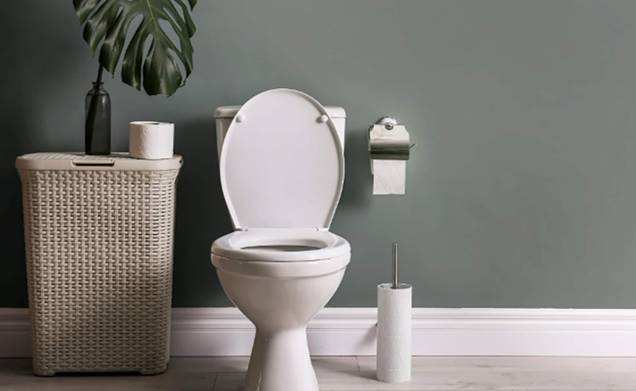 stigmiotypo othonis 2025 12 08 03.44.33