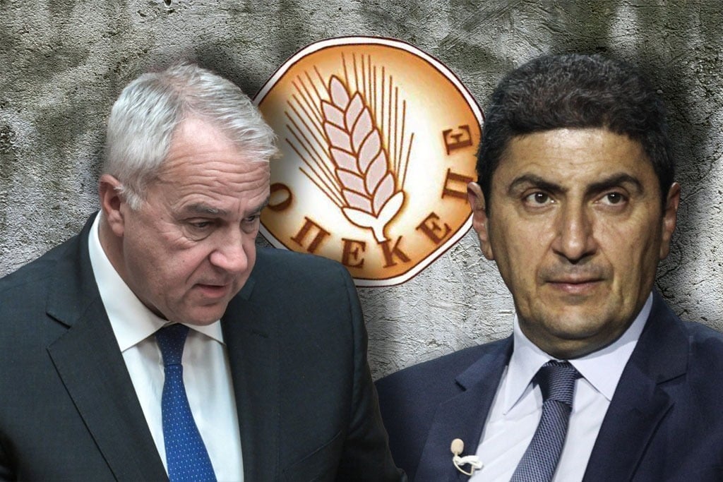 voridis avgenakis 1
