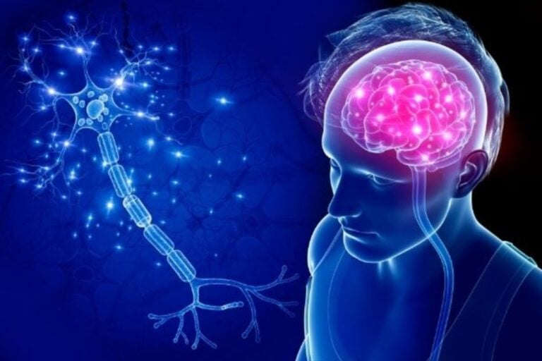 what is motor neurone disease mnd 1 768x512 1