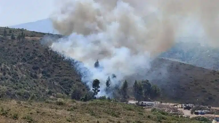 Φωτιά στην Σταμάτα: Μεγάλη κινητοποίηση της Πυροσβεστικής
