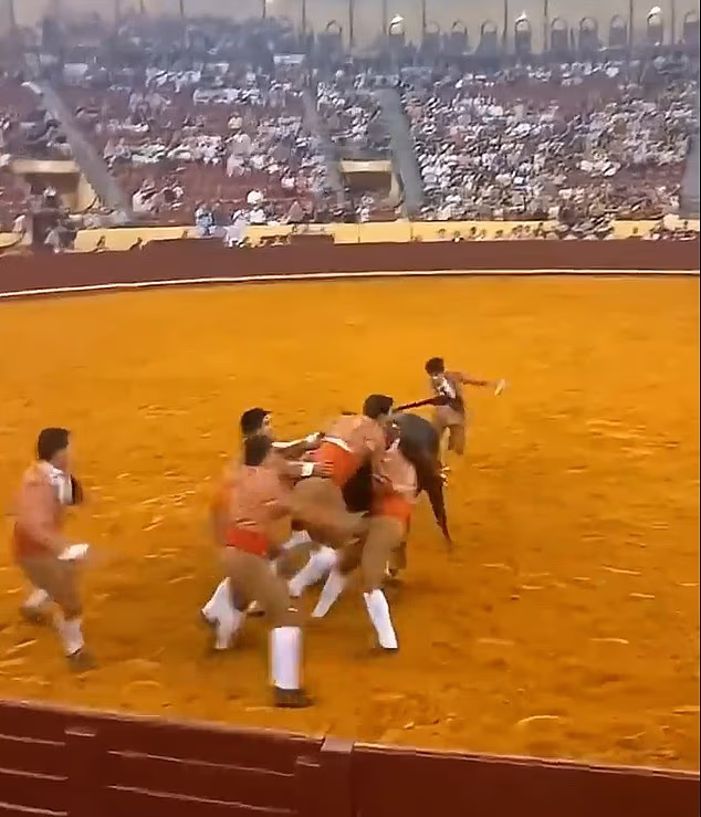 101553819 15035003 trindade s fellow forcados tried to stop the bull from charging m 13 1756215803665
