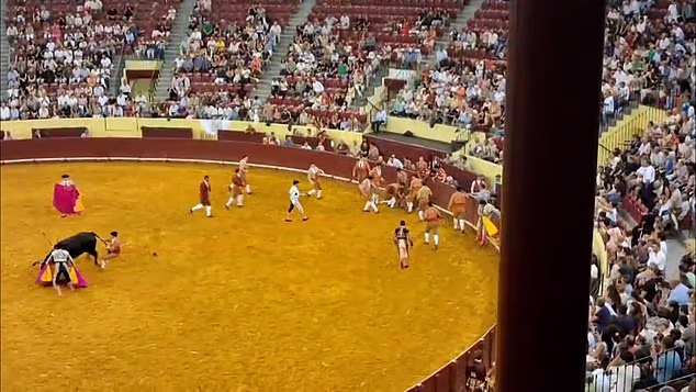 101553833 15035003 image a 5 1756209152780
