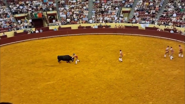 101553835 15035003 image a 2 1756209015487