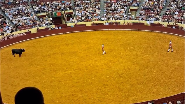 101553841 15035003 image a 1 1756209010778