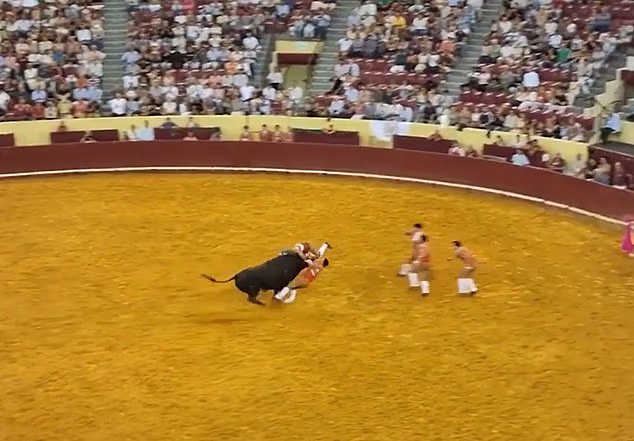 101555479 15035003 image a 9 1756211538052