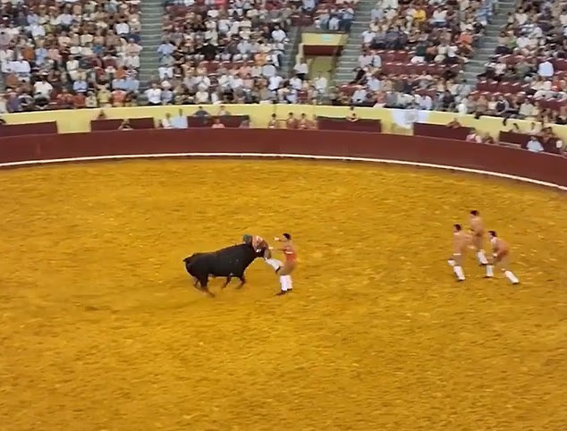 101555483 15035003 image a 10 1756211543349