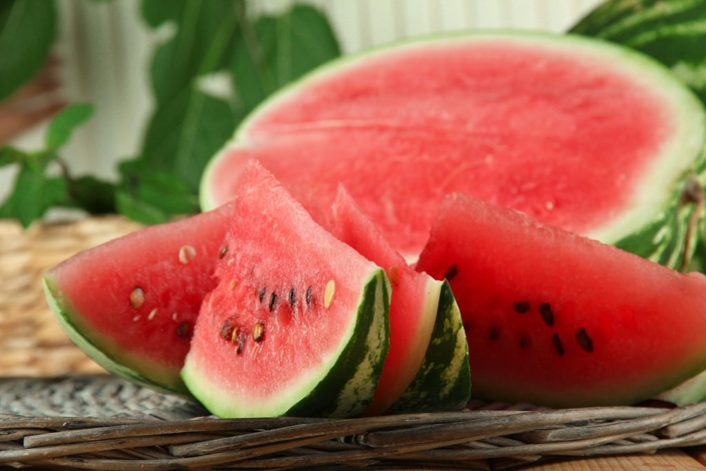 160 watermelon 1024x683 2
