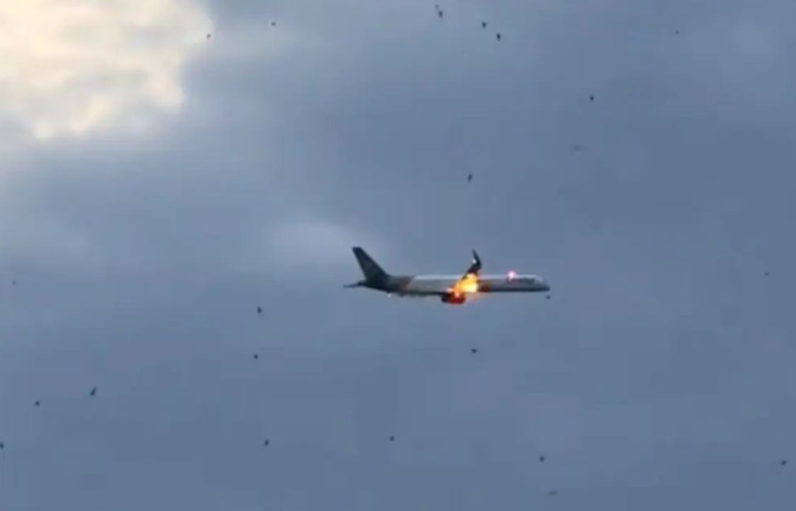 273 passengers 8 crew members 1017187582