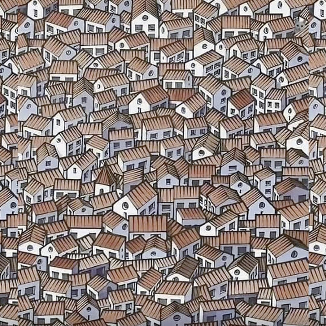 526832843 1170171641814076 5101562960777726786 n
