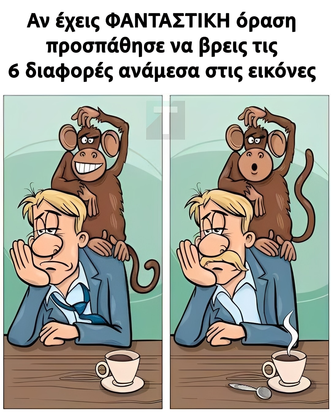 530371836 1157835859723054 3845692483210048826 n 1