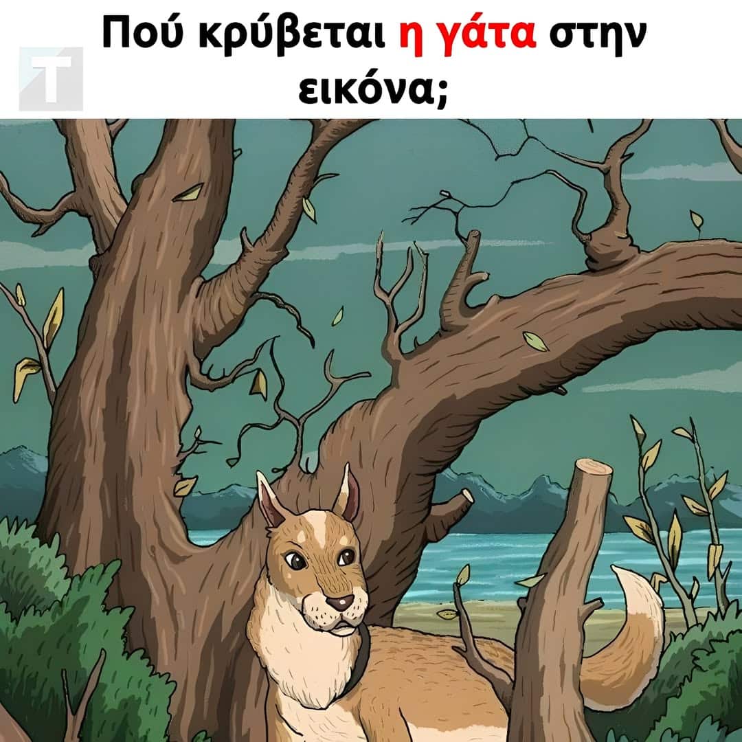 531762391 1158561999650440 3267427765290915465 n