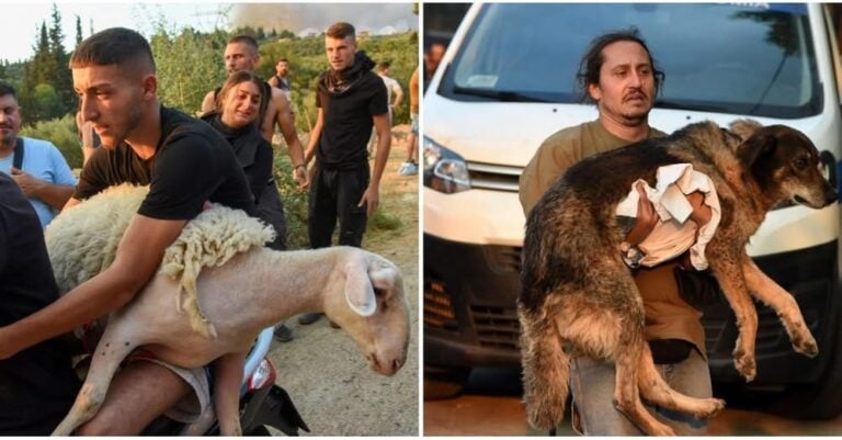 Εικόνες που συγκλονίζουν στην Αχαΐα – Παίρνουν αγκαλιά τα ζώα τους για να τα σώσουν