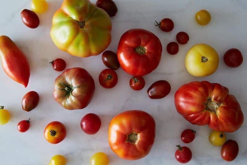 75473239 0b89 4b2e 8faf 28898945df51 tomatoes