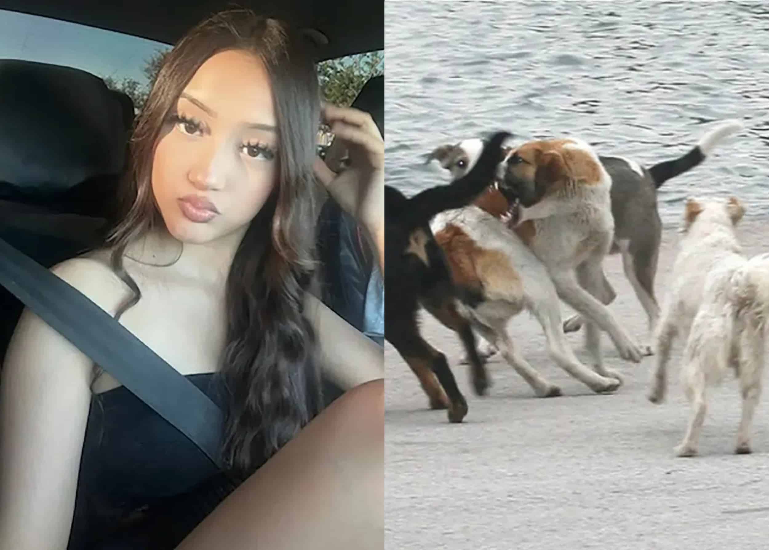 au iv 17 3 2500x1787 1