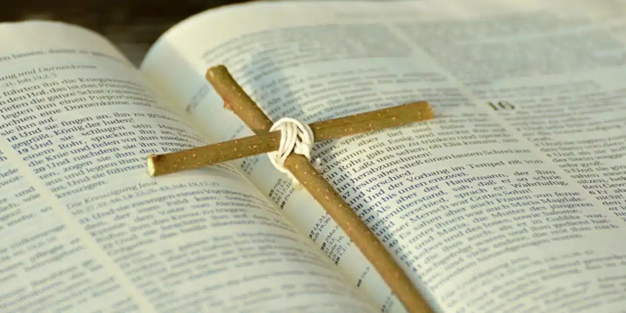 bible 7.jpg