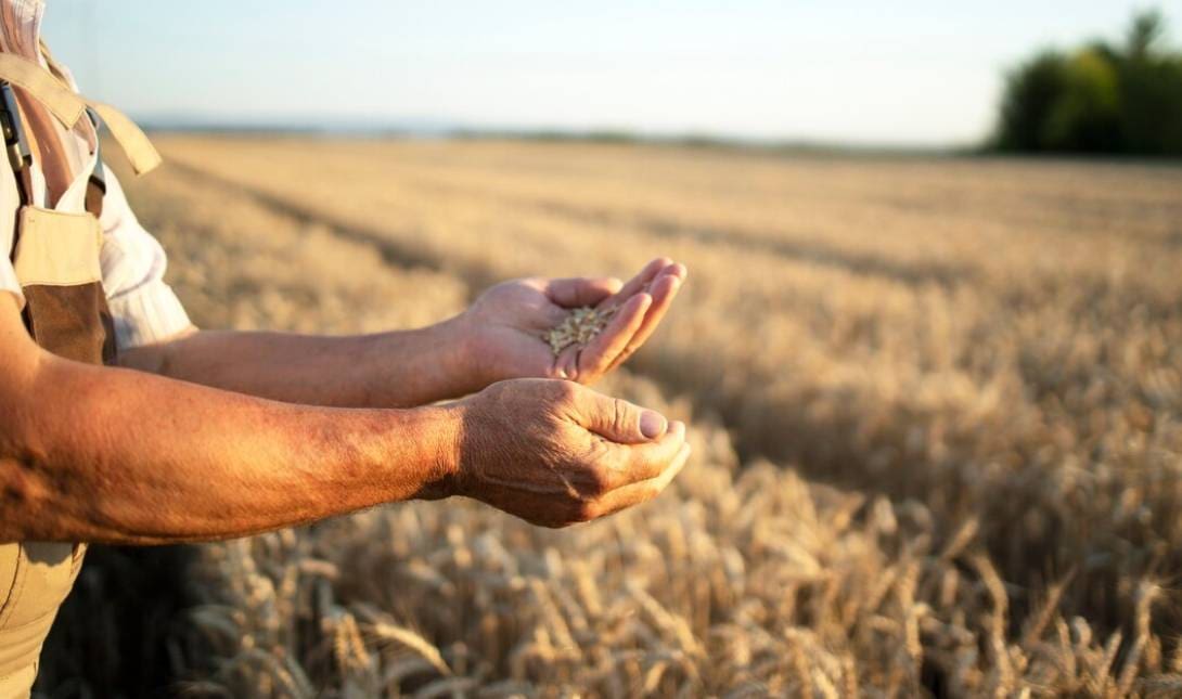 farmer