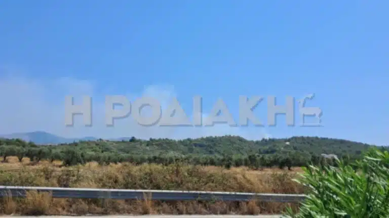 Φωτιά στη Ρόδο ανάμεσα σε Θολό και Σορώνη: Η φωτιά καίει κοντά στην κοιλάδα με τις πεταλούδες