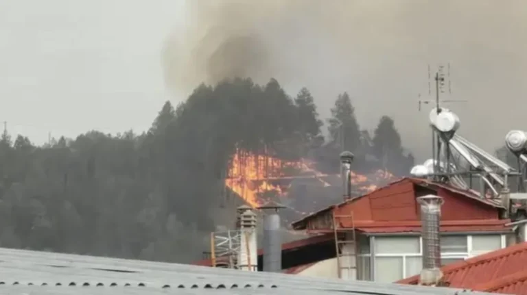 Φωτιά σε 4 διαφορετικές εστίες σε δασική έκταση στα Γρεβενά – Ήχησε το 112 για «ετοιμότητα»