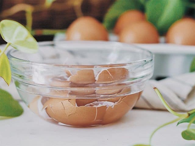 how to repurpose eggshells