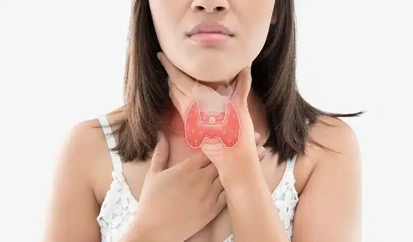 img thyroide.jpg