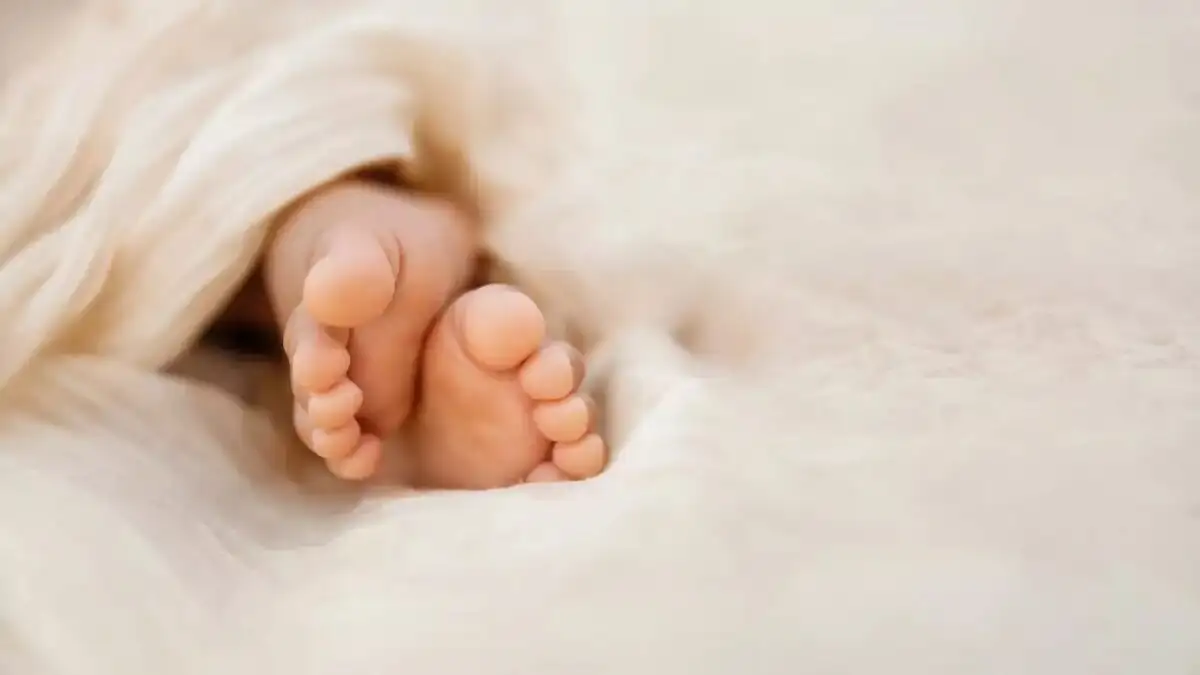 istock 1455070461 1200x675 1