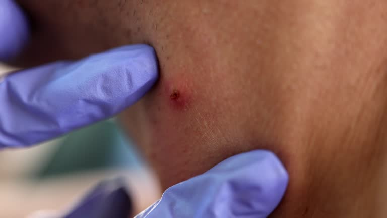 istockphoto 1425816005 640x640 1