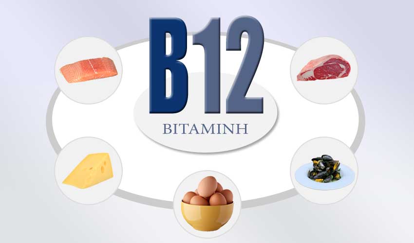 nosileiatora vitamin b12